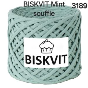 Fil Biskvit T-Shirt/Mint Souffle 3189