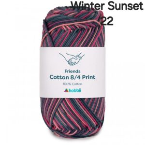 Fil Hobbii Friends Print  8/4/Winter Sunset 22