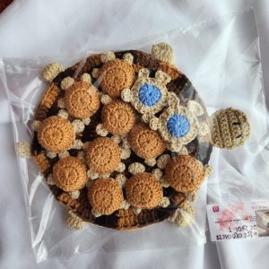 Tortue jeux de mémoire